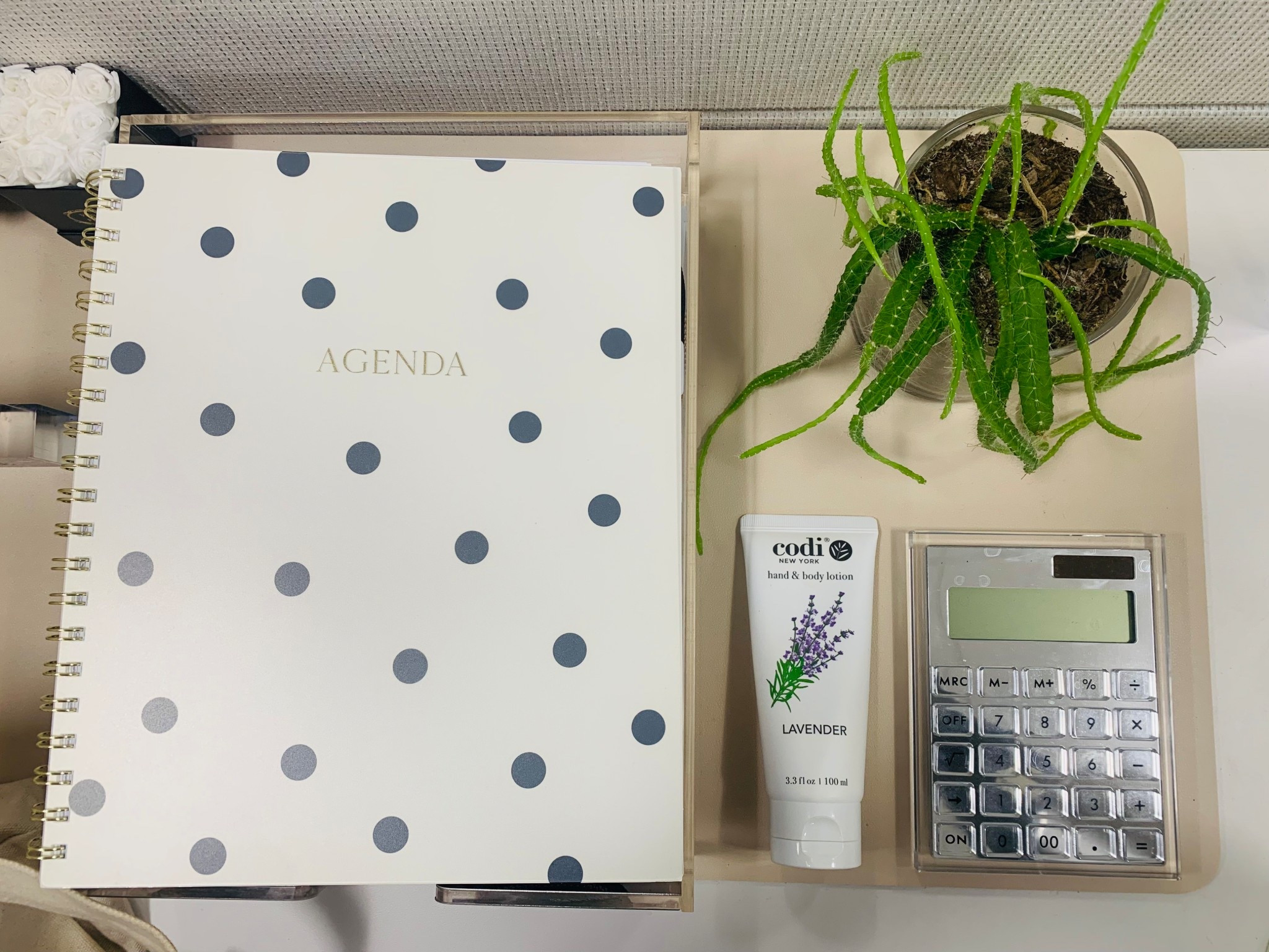 New year, new office agenda! I love this stylish agenda from Sugar Paper which you can find at Target for under $20!

#LTKHome #LTKWorkwear #LTKdayinmylife