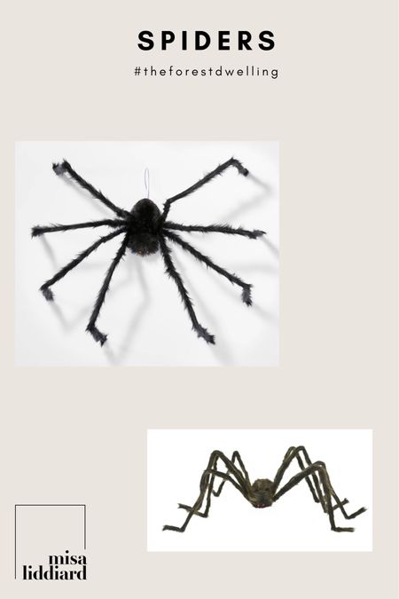 Spiders! I don’t like real spiders just to let you know. I suggest having a couple different sizes of spiders to make your decor look amazing! I did 2 brown ones from Walmart and got the rest at target. Amazon has a great option with a bunch of sizes too  

#LTKHalloween #LTKhome #LTKSeasonal