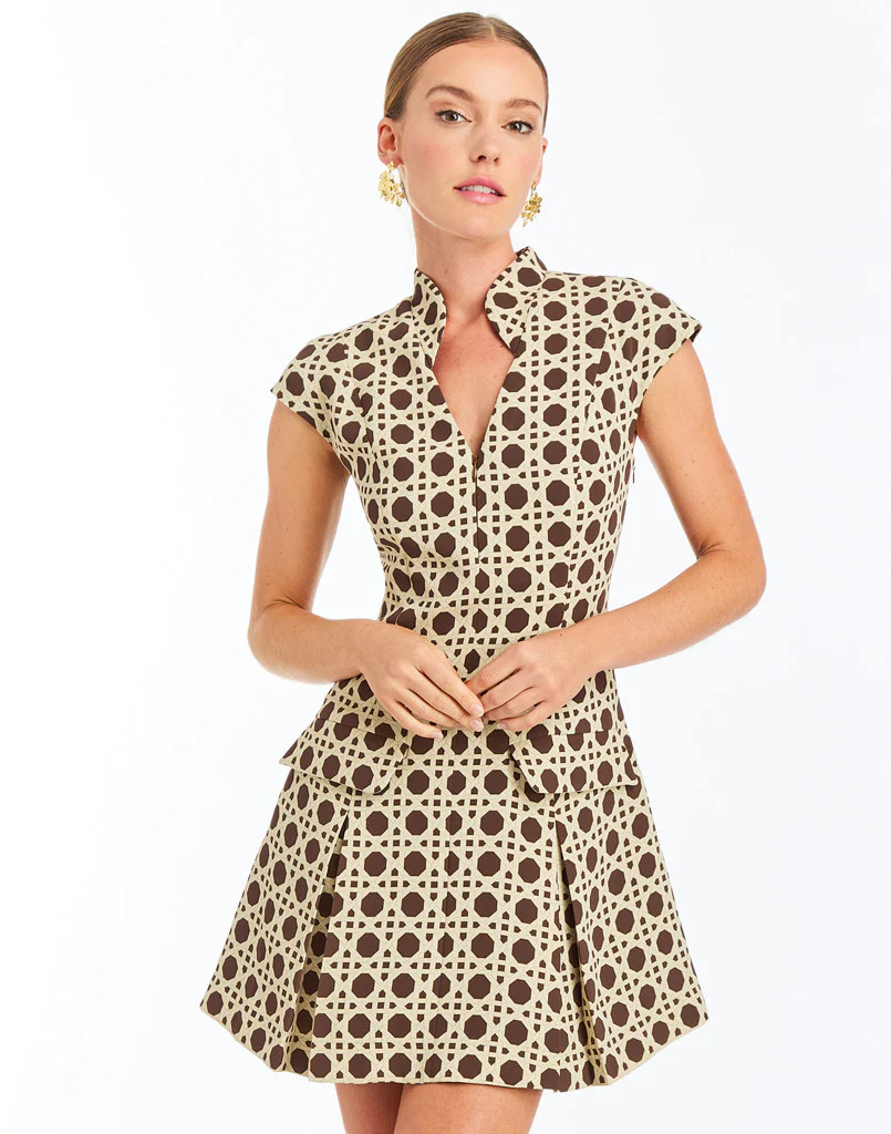 Tianna Mini Dress | Mestiza New York