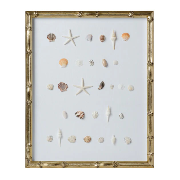 Bespoke Shell Study Art - Champagne Bamboo Frame | Cailini Coastal