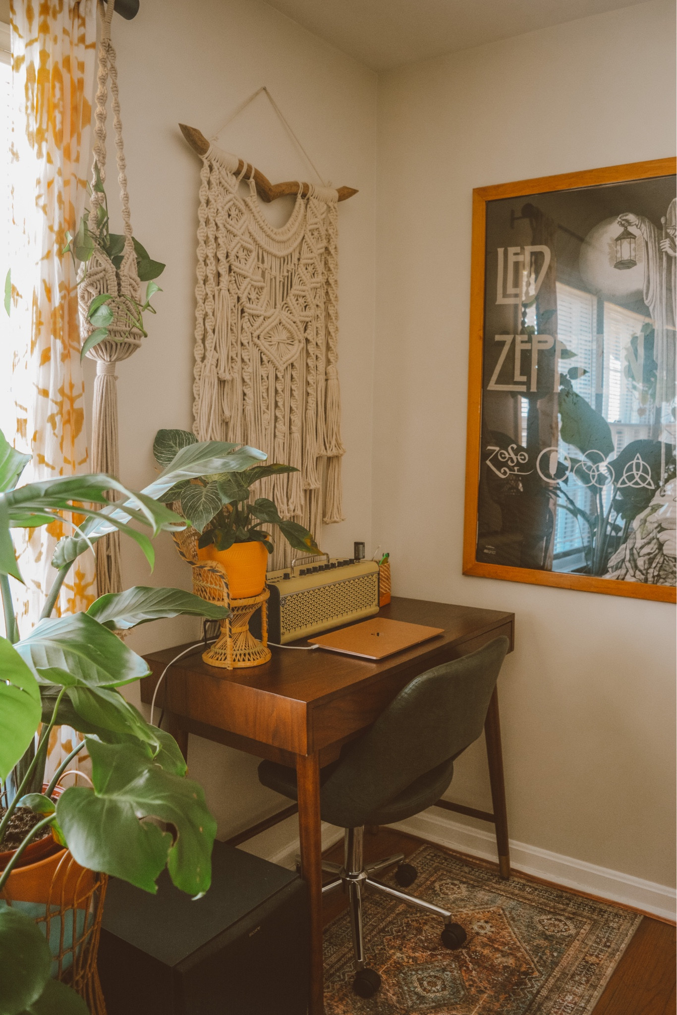 boho office space 🪴

#LTKstyletip #LTKunder50 #LTKhome