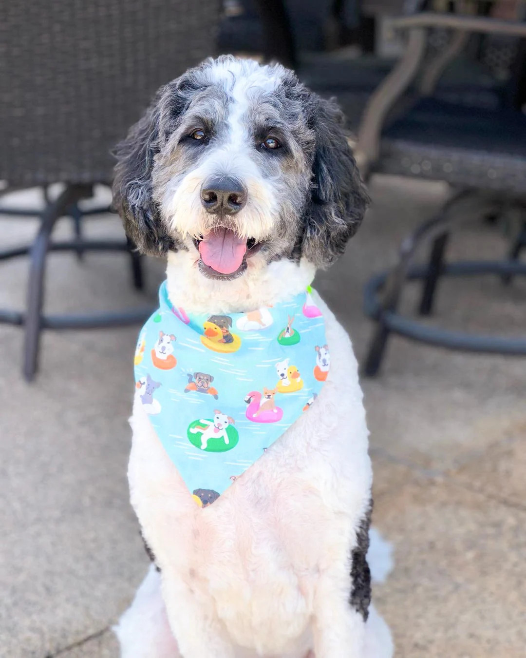 Pool Pawty - Personalized Pet Bandana | Reversible Over the Collar | Summer | Dogs Surfing | Pool... | Etsy (Global)