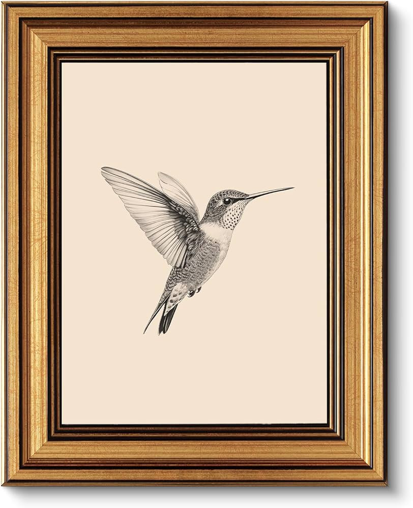 VIYYIEA Vintage Gold Framed Wall Art for Living Room, Birds Canvas Prints Home Decor, Sketch Pain... | Amazon (US)