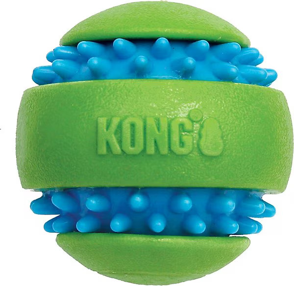 KONG Squeezz Goomz Ball Squeaky Plush Dog Toy, Large | Chewy.com