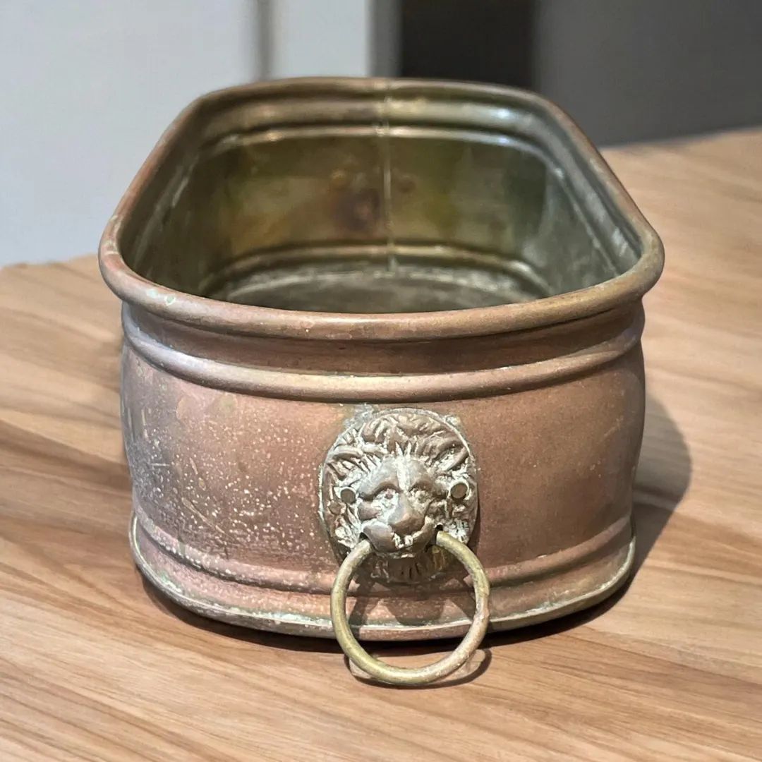 Brass Lion Head Planter - Etsy | Etsy (US)