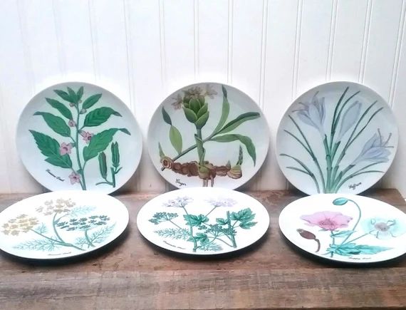 Horchow Herb Salad Plates Set of Six Made for Horchow Artfully designed Salad Plates | Etsy (US)