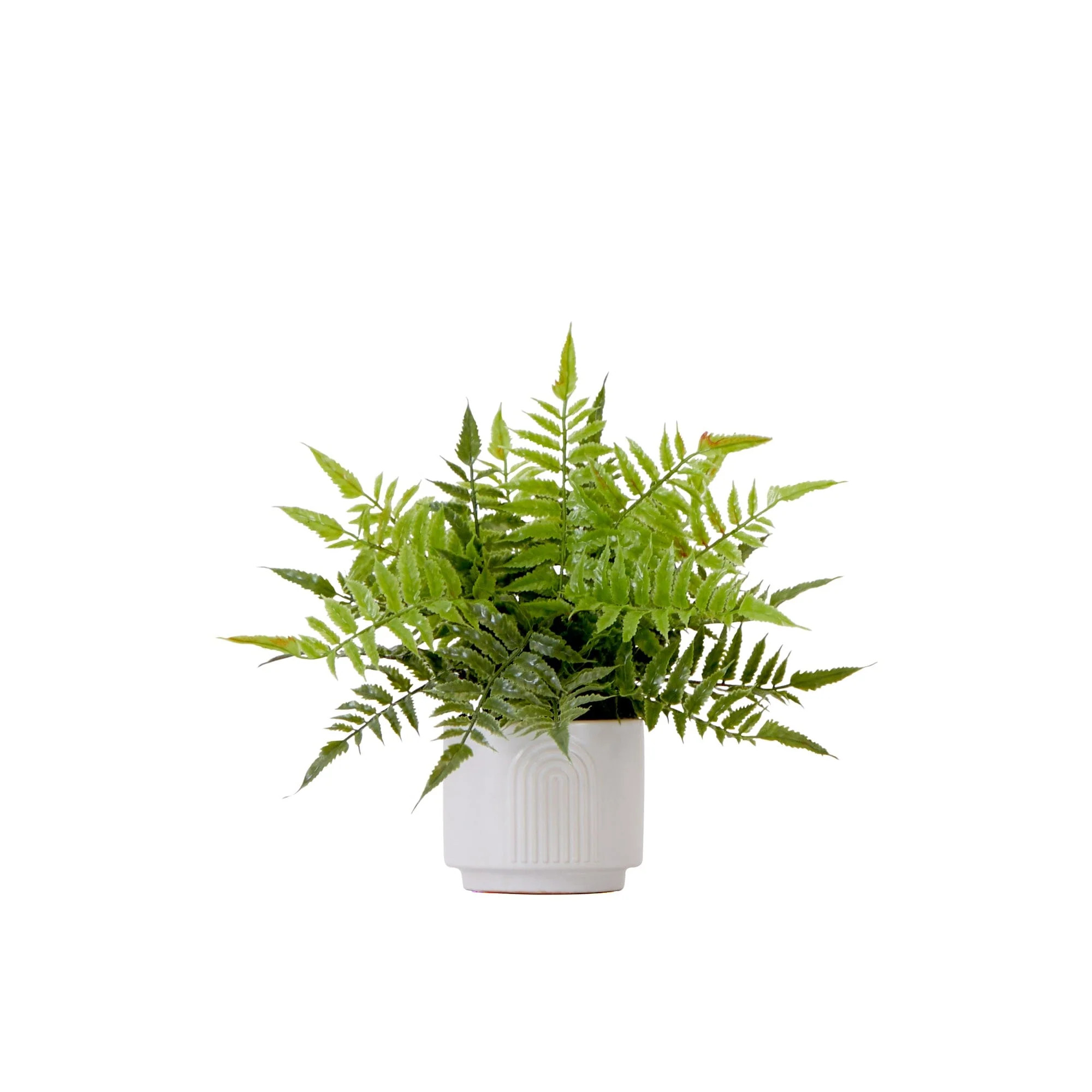 13" Artificial Boston Fern Plant with Decorative Planter | Nearly Natural | Nearly Natural