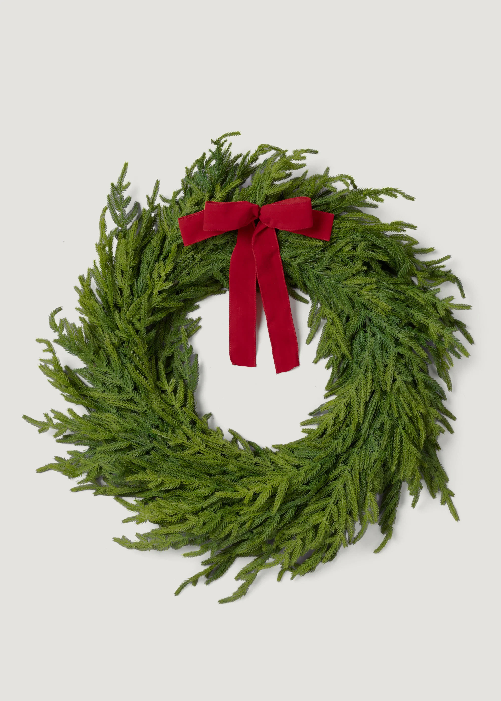 Artificial Norfolk Pine Wreath with Bow | Holiday Wreaths at Afloral | Afloral