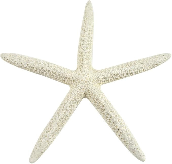 Starfish Decor - Star Fish for Craft - 15pk Real 4-6" White Sea Stars - Beach Wedding Decor - Coa... | Amazon (US)