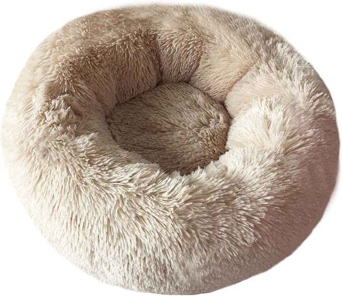 Amazon.com : BODISEINT Modern Soft Plush Round Pet Bed for Cats or Small Dogs, Mini Medium Sized ... | Amazon (US)