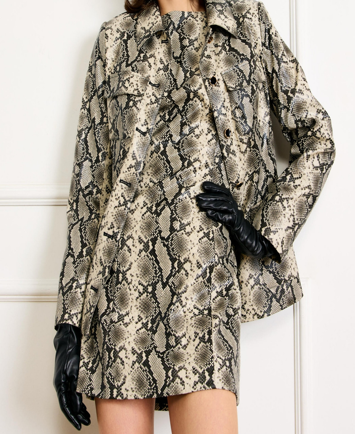 Line & Dot Women's Python Print Side Pocket Jacket - Python | Macy's