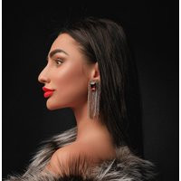 Crystal Rhinestone Clip On Earrings Long Gold Embroidered Party Jewelry | Etsy (US)