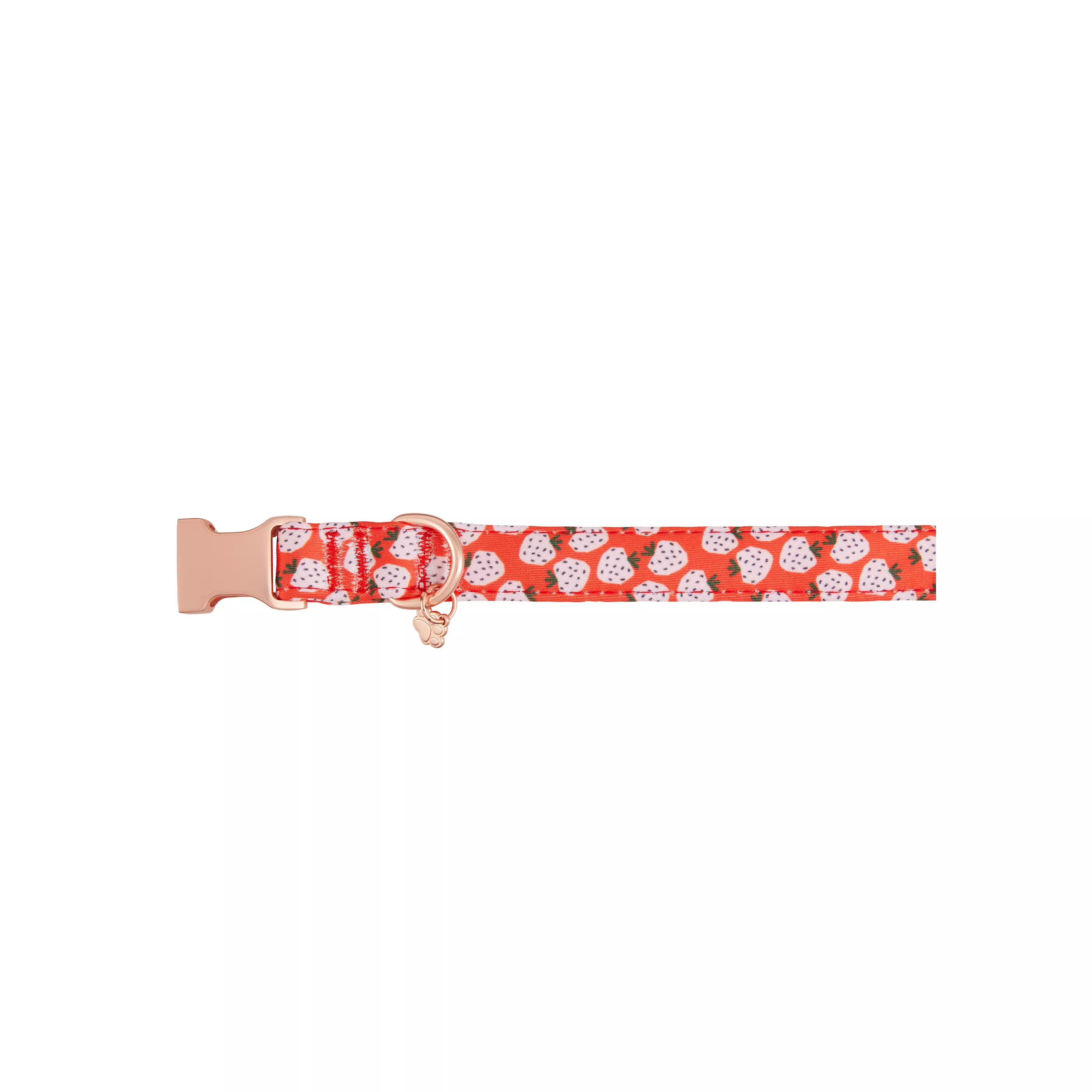 Top Paw® Strawberry Neoprene Adjustable Dog Collar | PetSmart