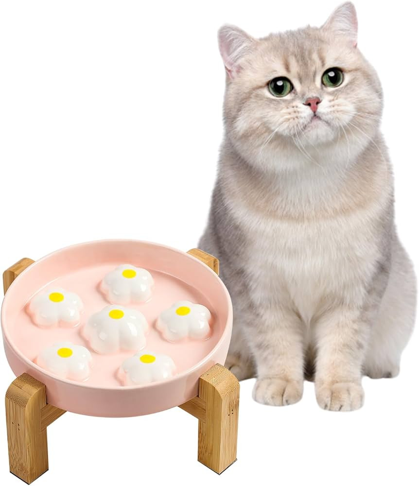 Elevated Slow Feeder Cat Bowl - Maze Puzzle Cat Food Dish with Bamboo Stand, Anti-Slip - Raised B... | Amazon (US)