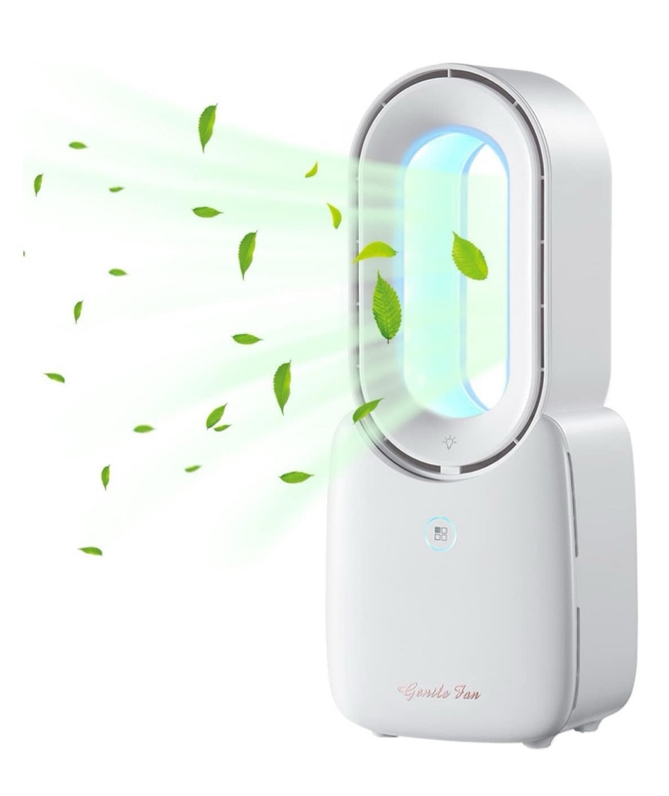 Home essentials, home fan, portable fan, small fan, home decor, home fan, travel fan, cooling fan, office fan, bedroom fan 

#LTKHome #LTKFamily #LTKFindsUnder50