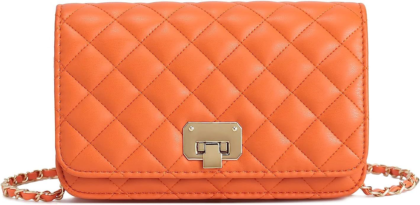 CATMICOO Quilted Small Clutch Purses for Women with Chain Strap: Handbags: Amazon.com | Amazon (US)