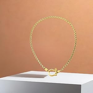 COOLSTEELANDBEYOND Mens Women Stainless Steel Foxtail Wheat Chain Necklace, Screw Anchor Shackle ... | Amazon (US)