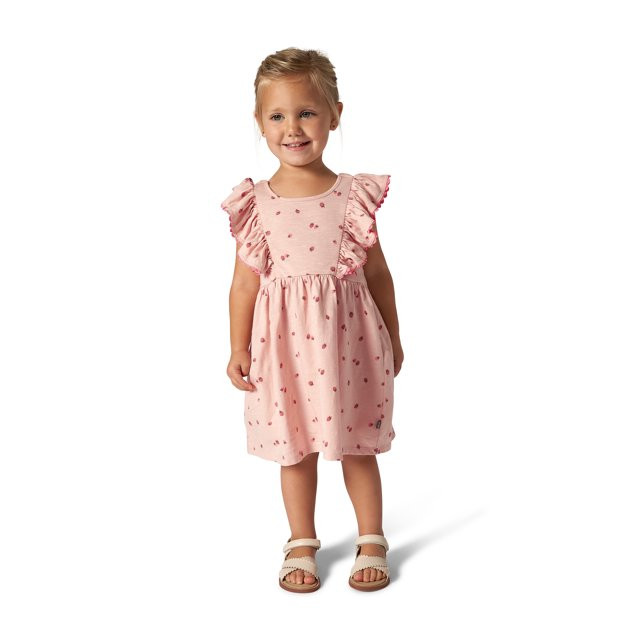 Modern Moments Toddler Girl Ruffle Sleeve Dress with RicRac Trim, Sizes 12M-5T | Walmart (US)