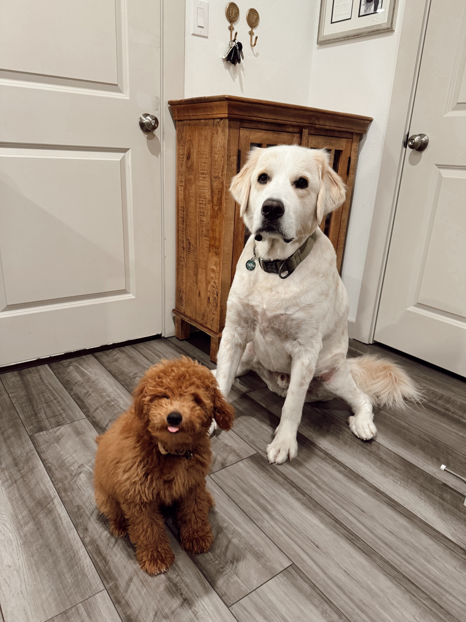 Madison_Humphrey on LTK