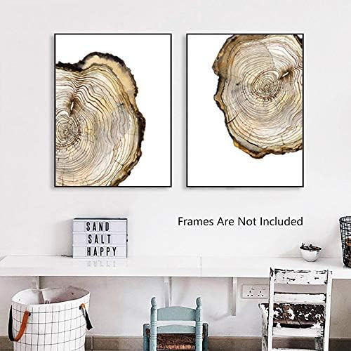 KAIRNE Watercolor Large Tree Ring art Prints，tree stump art picture，set of 2 8x10inch no frame，vinta | Amazon (US)