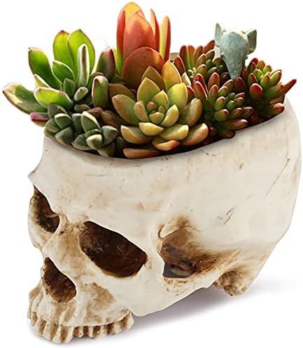 Readaeer Skull Planter Resin Skull Shaped Flower Pot for Home Office Desk Decorations | Amazon (US)