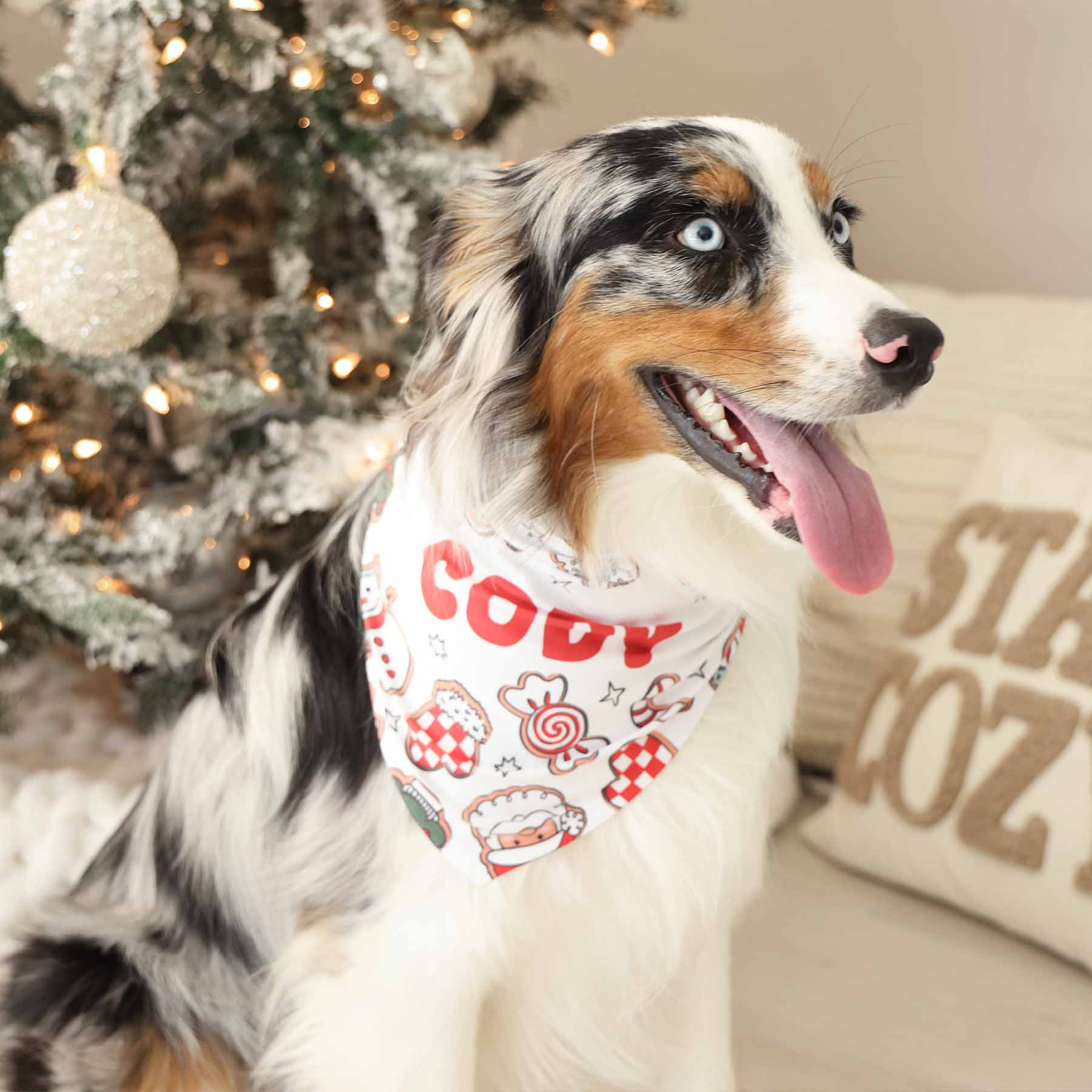 Santa's Cookies Personalized Pet Bandana | Caden Lane