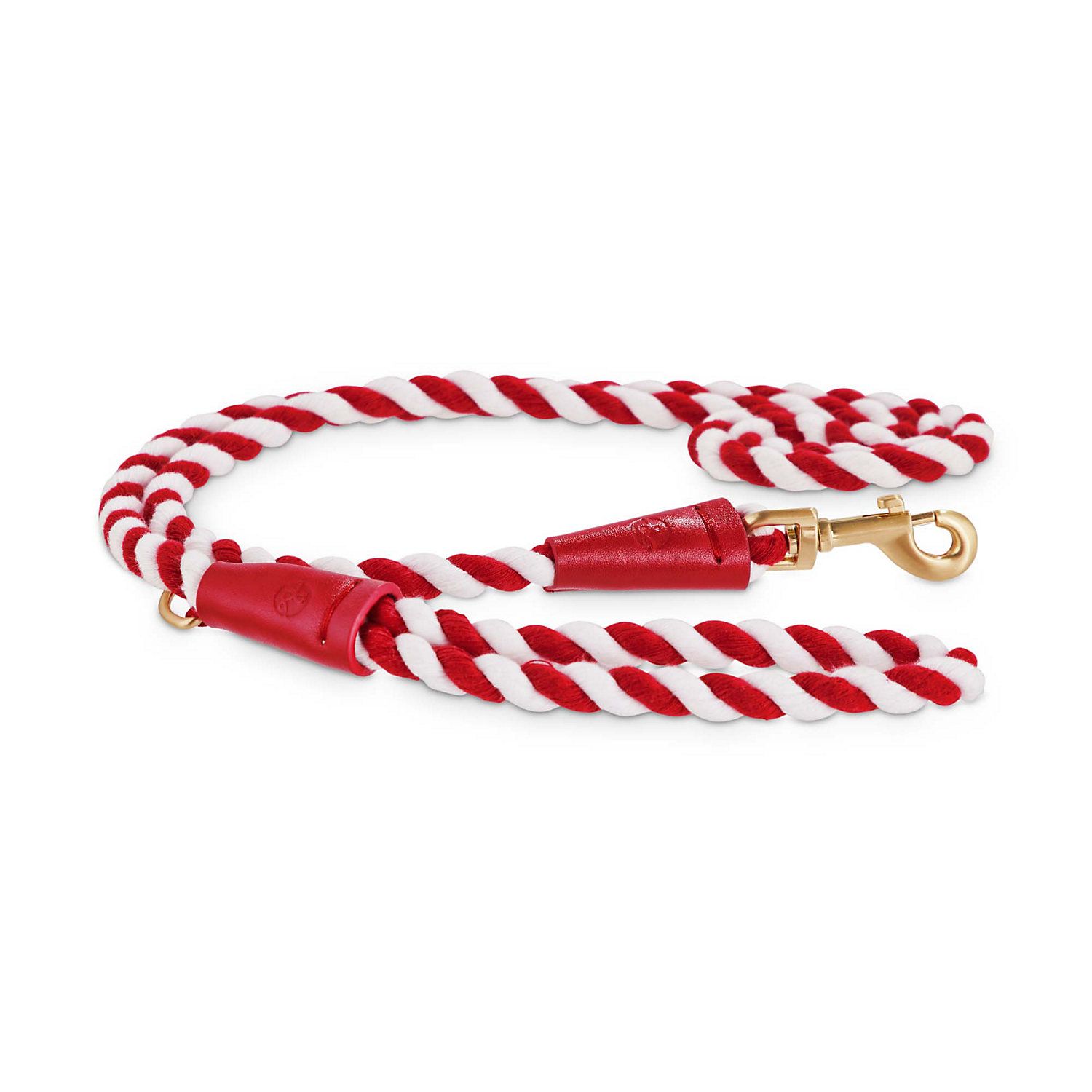 Holiday Tails My 1st Christmas Candy Cane Lane Puppy Leash | PETCO Animal Supplies