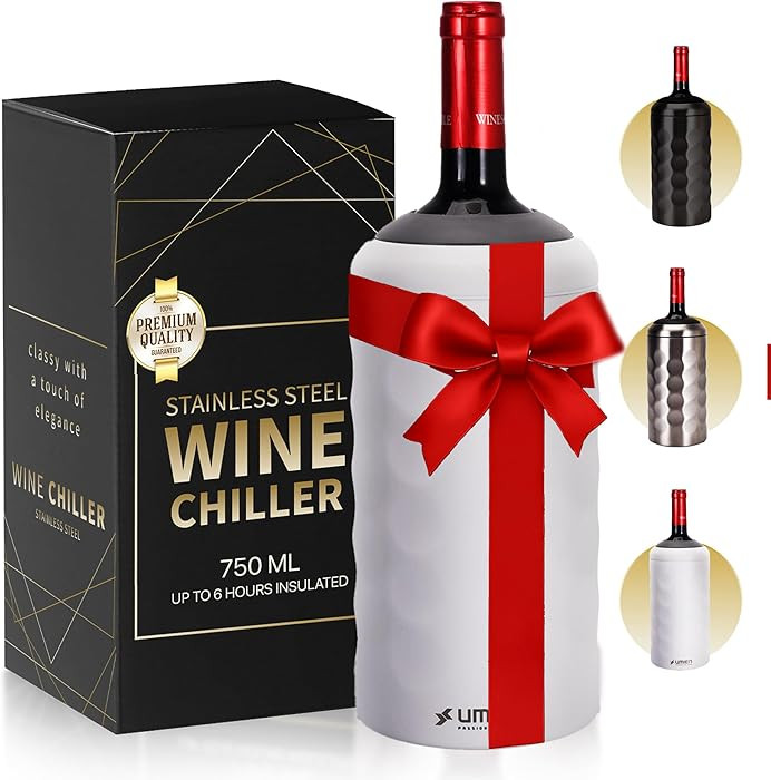 Premium Wine Chiller - 750ml Stainless Steel Wine Bottle Cooler, Vacuum Insulated & Double-Walled... | Amazon (US)