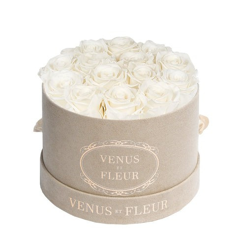 Small Round | Venus ET Fleur