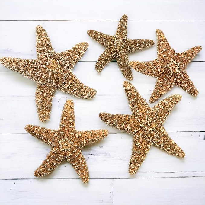 Tumbler Home Real Starfish Décor - 5pcs - 4" - 6" Large Starfish for Crafts, Beach House Décor,... | Amazon (US)