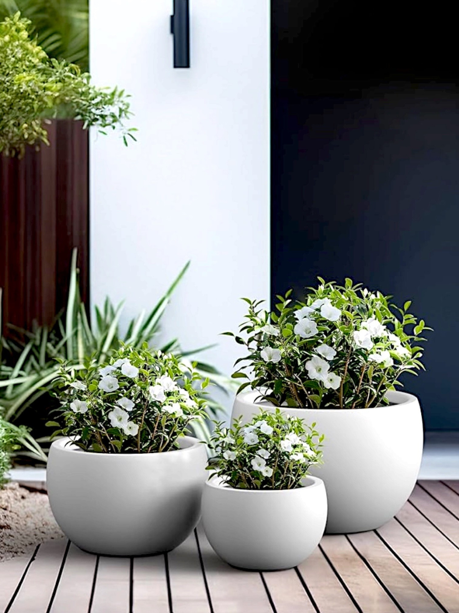 Amazon: Planter Set on SALE!!!!

Comes in 3 different sizes and 12 colors. Perfect for a spring patio refresh!!! Can be used indoor and outdoor. Currently 10% off!!!

#amazon #deals #sale #spring #planters #indoor #outdoor #home #patio #porch #yard #pots #flower #tree #faux #sets #black #white #concrete #fluted #grey #brown #square #round #garden #deck #spring #summer #refresh #front #back #deck 