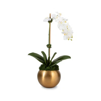 Adeline Gold Realtouch Orchid | Wayfair North America