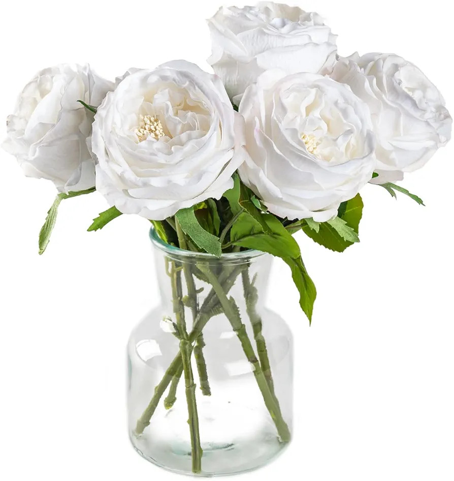 DuHouse 5Pcs Silk Roses Fake White Roses with Stems Real Touch Rose Artificial Flowers for Arrang... | Amazon (US)