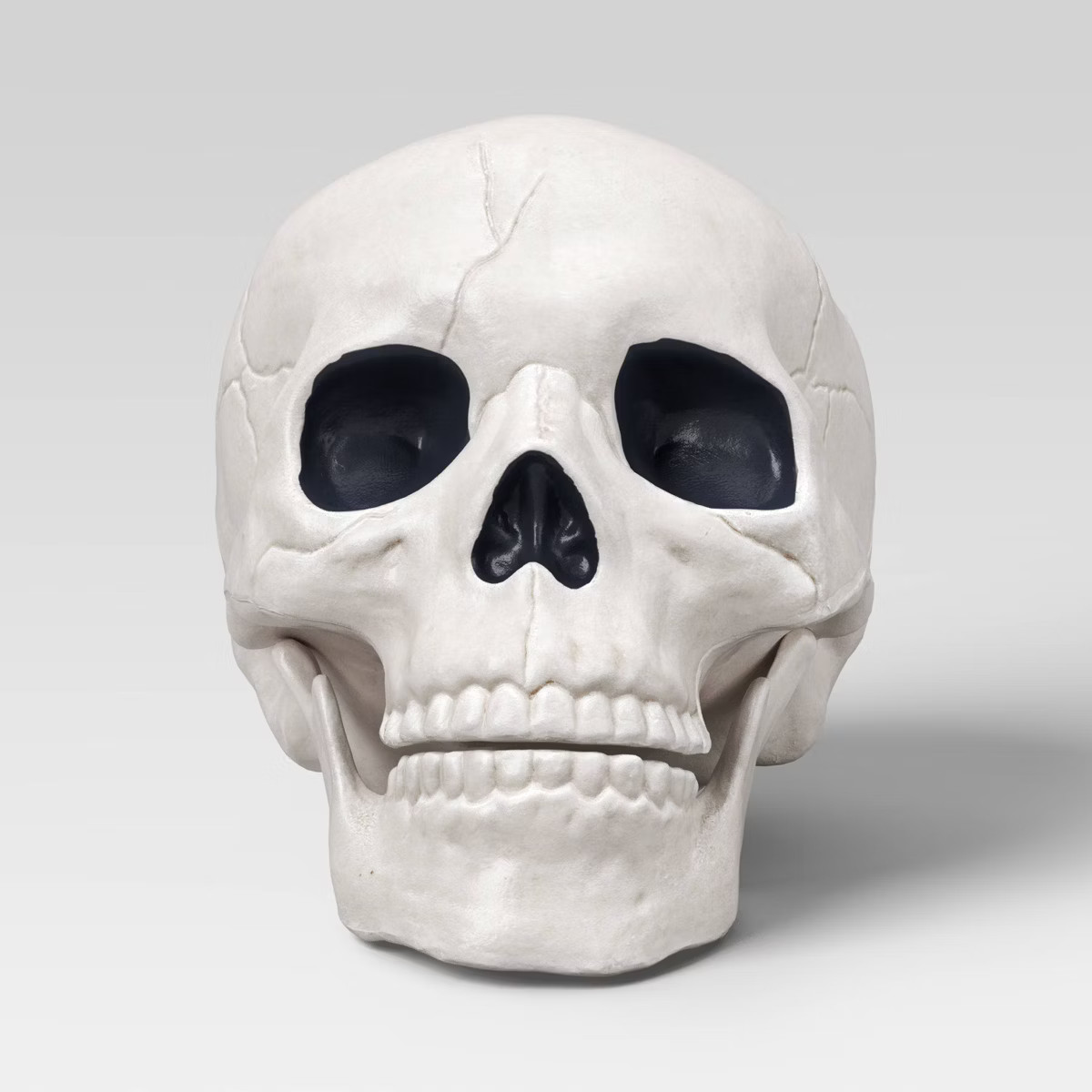 6" Skull Halloween Decorative Prop - Hyde and EEK! Boutique™ | Target
