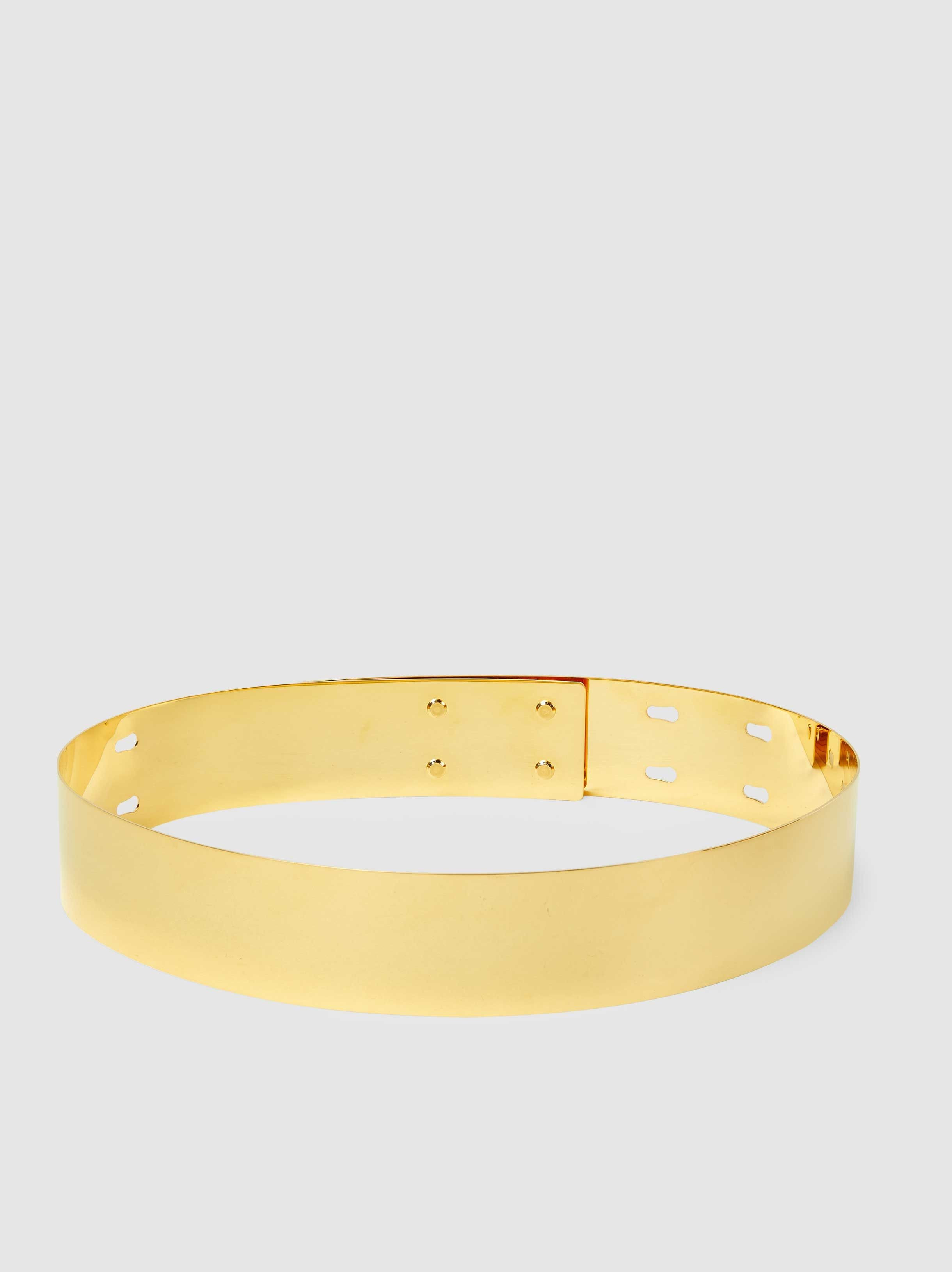 Gold-Tone Metal Belt | The Modist