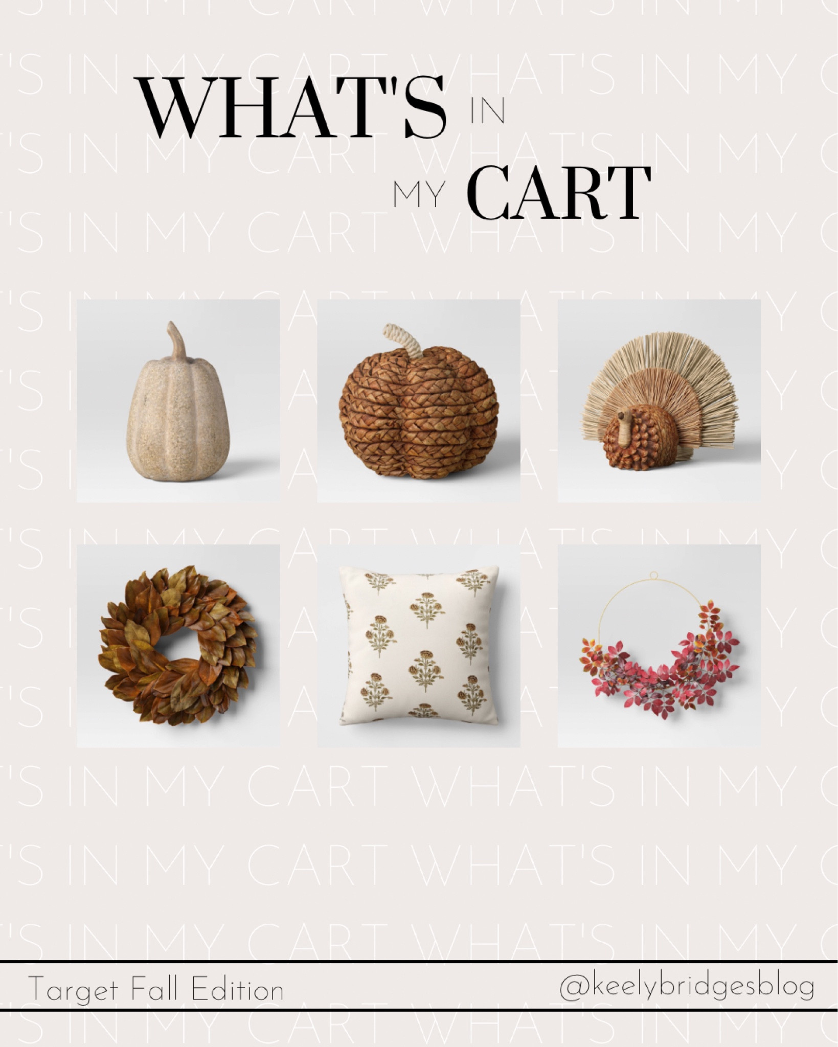 Target Fall Decor New Arrivals 

#LTKSeasonal #LTKunder50 #LTKhome