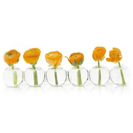 Caterpillar, Clear Glass Bud Vase 10.25"" Long 1"" Wide 1.5"" Tall for Short Flowers, Unique Low Sit | Walmart (US)