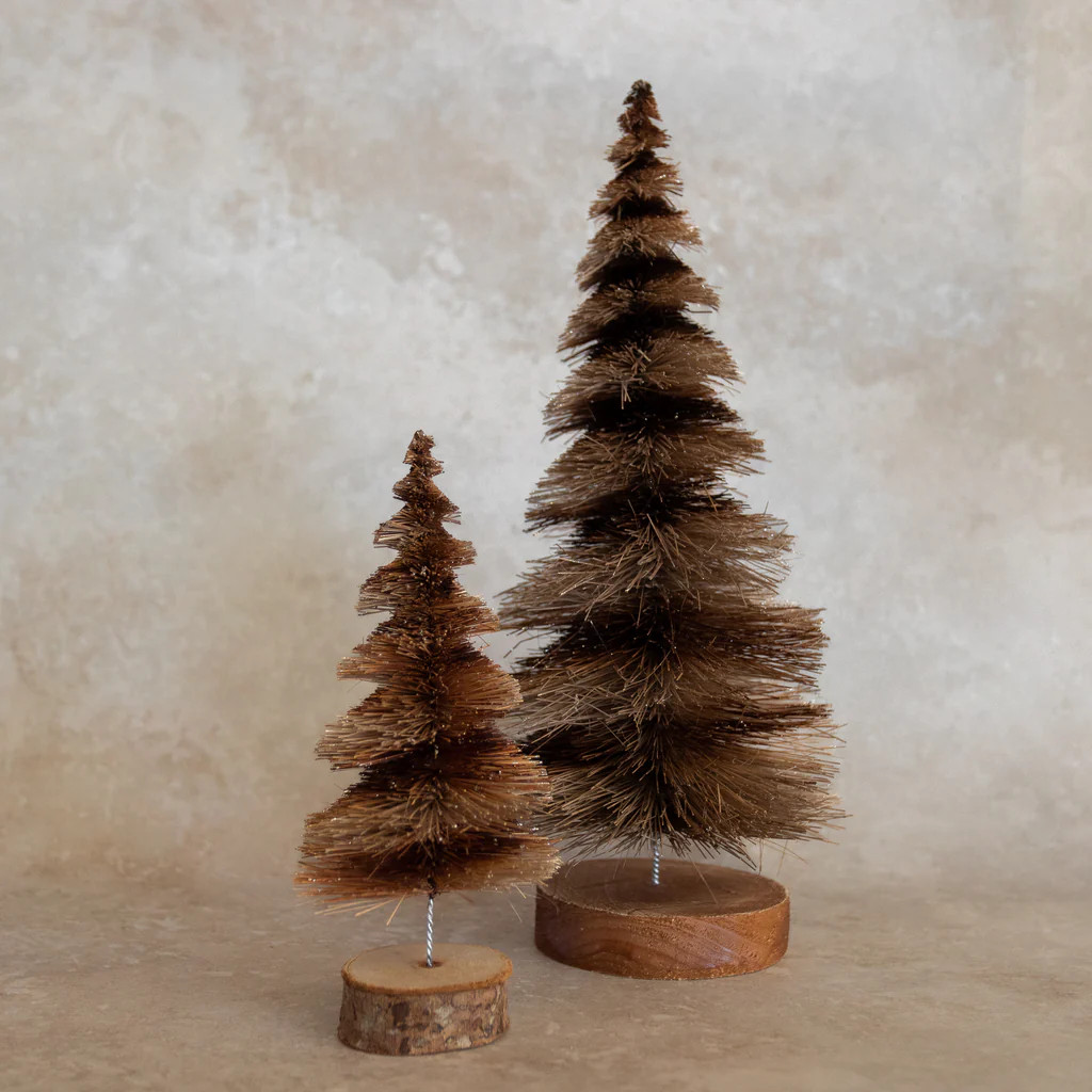 Alpine Bottle Brush Tree | Monika Hibbs Home