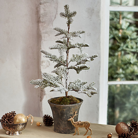 Moss Wrapped Snowy Faux Tabletop Tree | Terrain