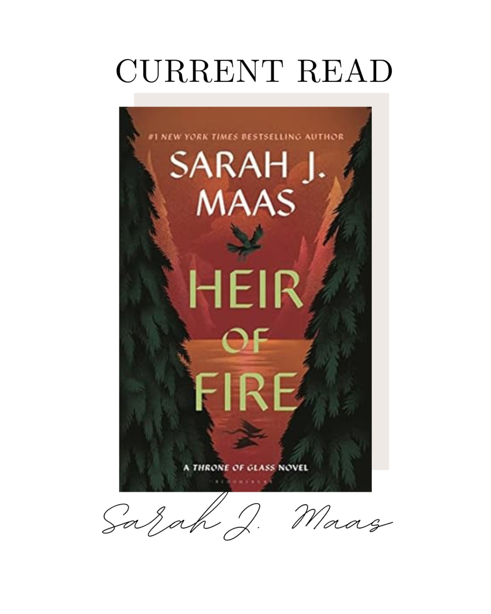 Did you know - I’m an avid reader? It’s currently April 1st and I’ve read more than 50 books! I’m typically reading 2-3 books at a time (it scratches my ADD itch), but this book is my current focus. I’m a fan of pretty much anything Sarah J. Maas writes, but this is my first time reading the Throne of Glass series!

If you’ve read these books, in what order did you read the series? I read Assassin’s Blade first 👀 I know that’s controversial, but I loved reading it first! 

#LTKGiftGuide #LTKfamily #LTKfindsunder50