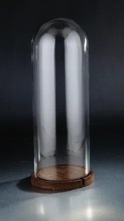 Pigg Handmade Geometric & Shapes Cloche Or Water Globe | Wayfair North America