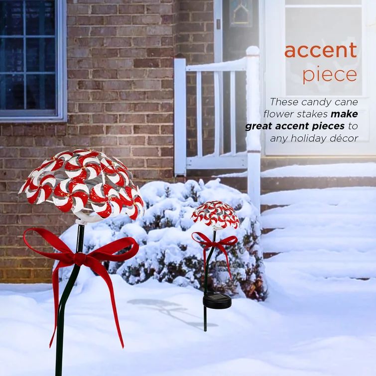 Peppermint Candy Garden Stake (Set of 2) | Wayfair North America