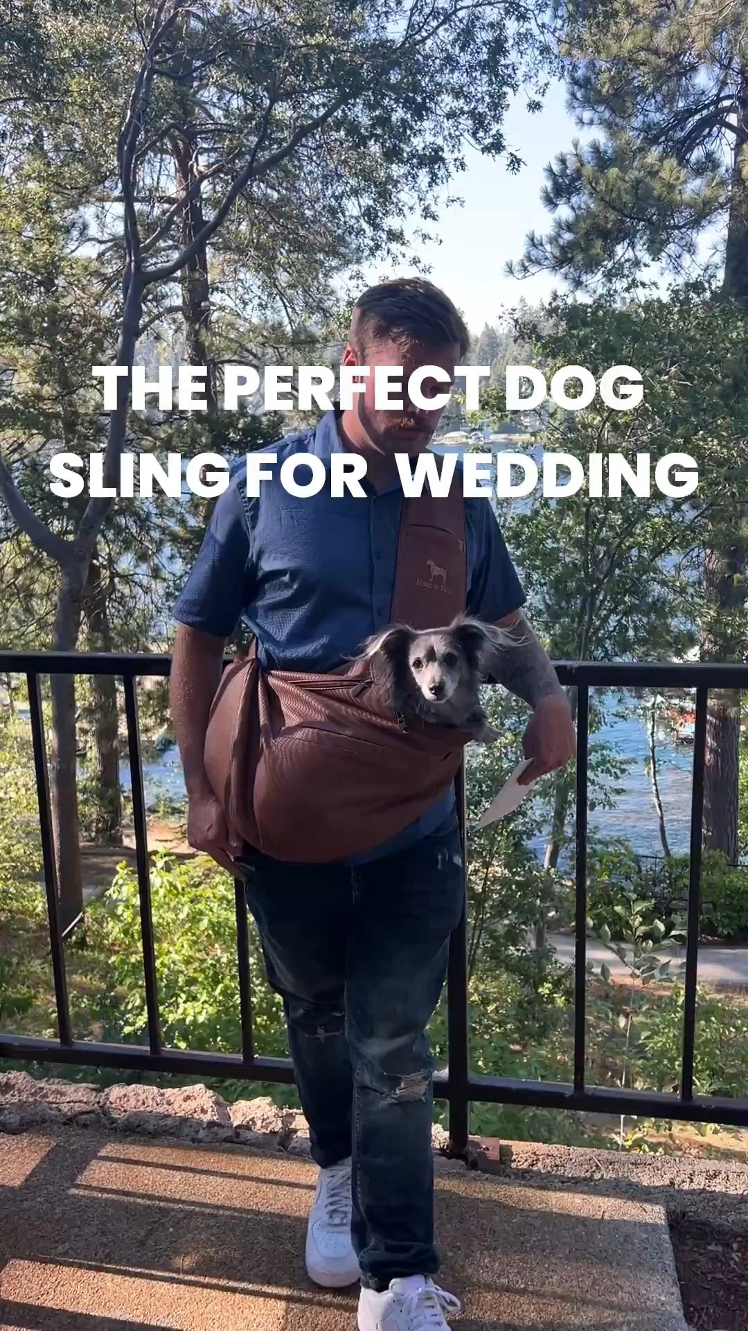 This dog sling was so comfy and beautiful for having our dogs with us for our wedding. #wedding #dog #dogs #weddingdogs #dogsling #dogcarrier

Follow my LTK @easefullyliving on the @shop.LTK app to view this post and get my exclusive app-only content!

#liketkit #LTKWedding
@shop.ltk
https://liketk.it/5TYSt
