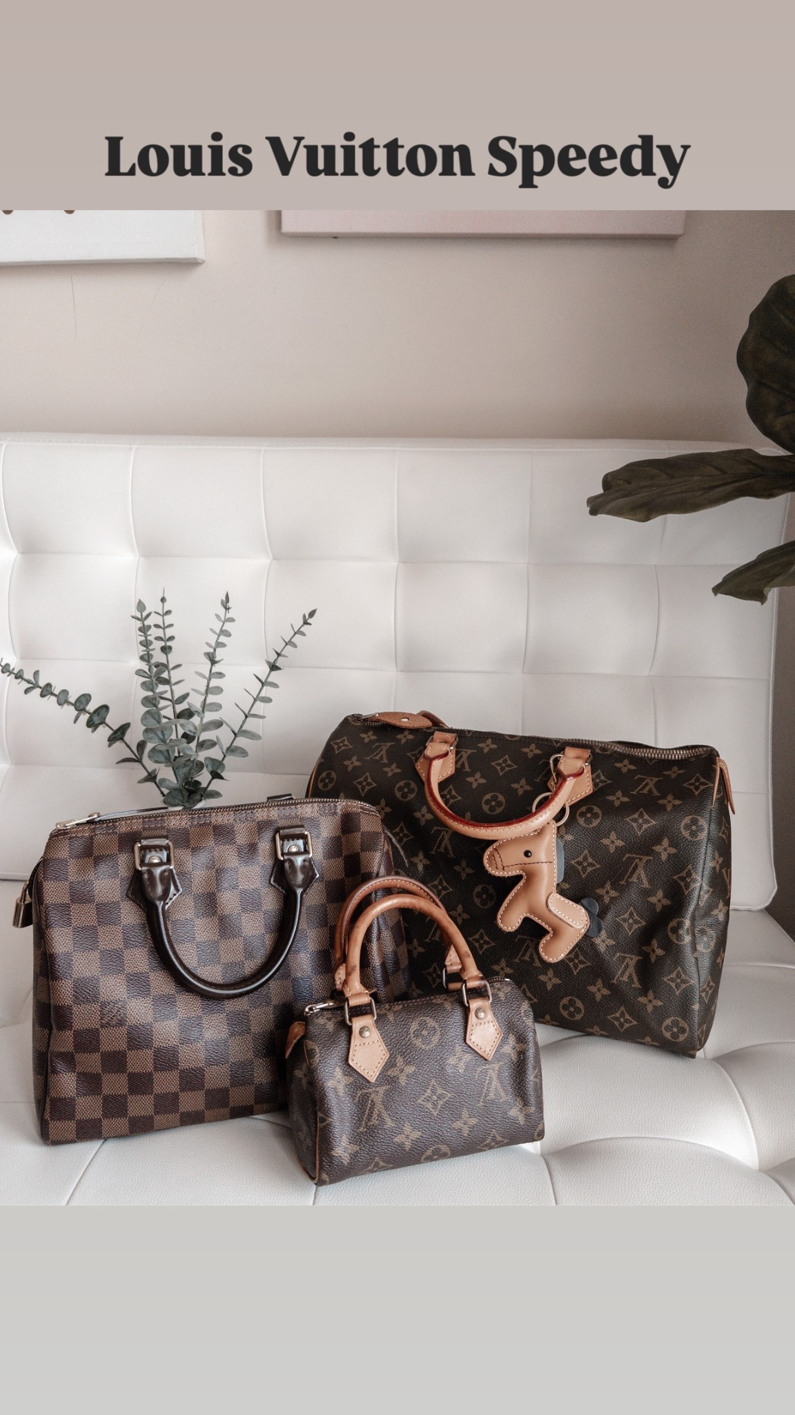 Louis Vuitton Speedy Monogram 35, Damier Ebene in 25, and mini sac HL in monogram 

#LTKstyletip #LTKbag #LTKcanada