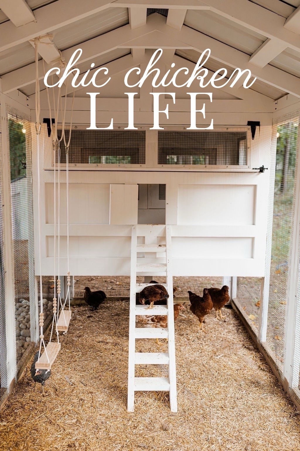 Yes, even the chicken coop got a glow-up 🐓✨ This custom-built beauty blends modern farmhouse style with function—matte black hardware, crisp white siding, warm string lights, and happy hens included 🤍 The perfect mix of charm and practicality. #porcheandco

#modernfarmhouse #chickencoopdesign #backyardstyle #homesteadliving #outdoorcharm #farmfreshvibes #neutralexterior #cozyoutdoors #stylishhomestead #ltkhome #porcheandco #eggcollectingstation



#LTKvlog #LTKdayinmylife #LTKHome