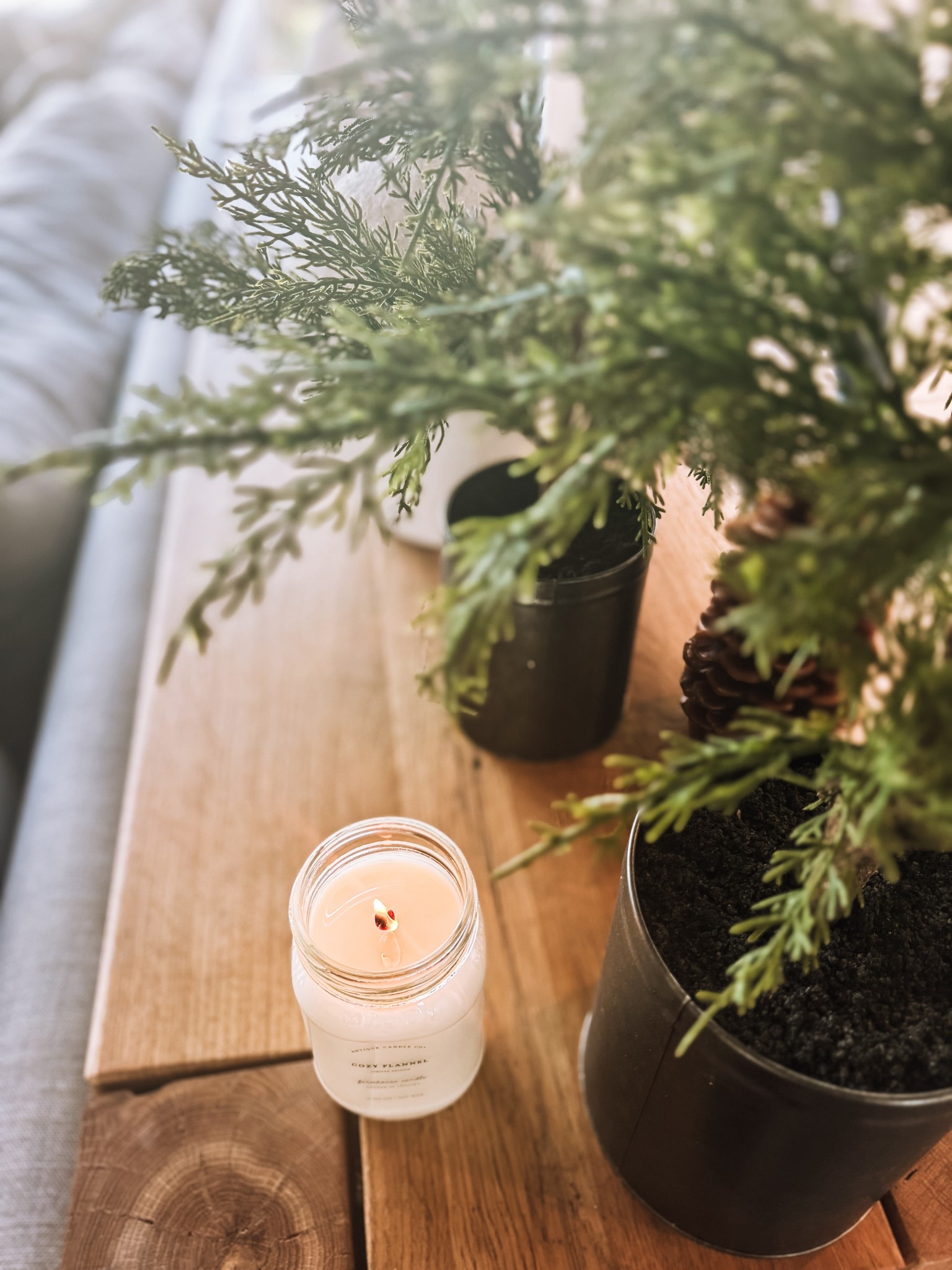 Best nontoxic candles ever.

#LTKHome #LTKHoliday #LTKGiftGuide