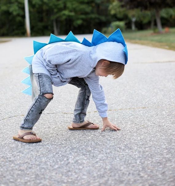 Toddler Boy Dino Hoodie  Blue Dinosaur  Dinosaur Hoodie With | Etsy | Etsy (US)