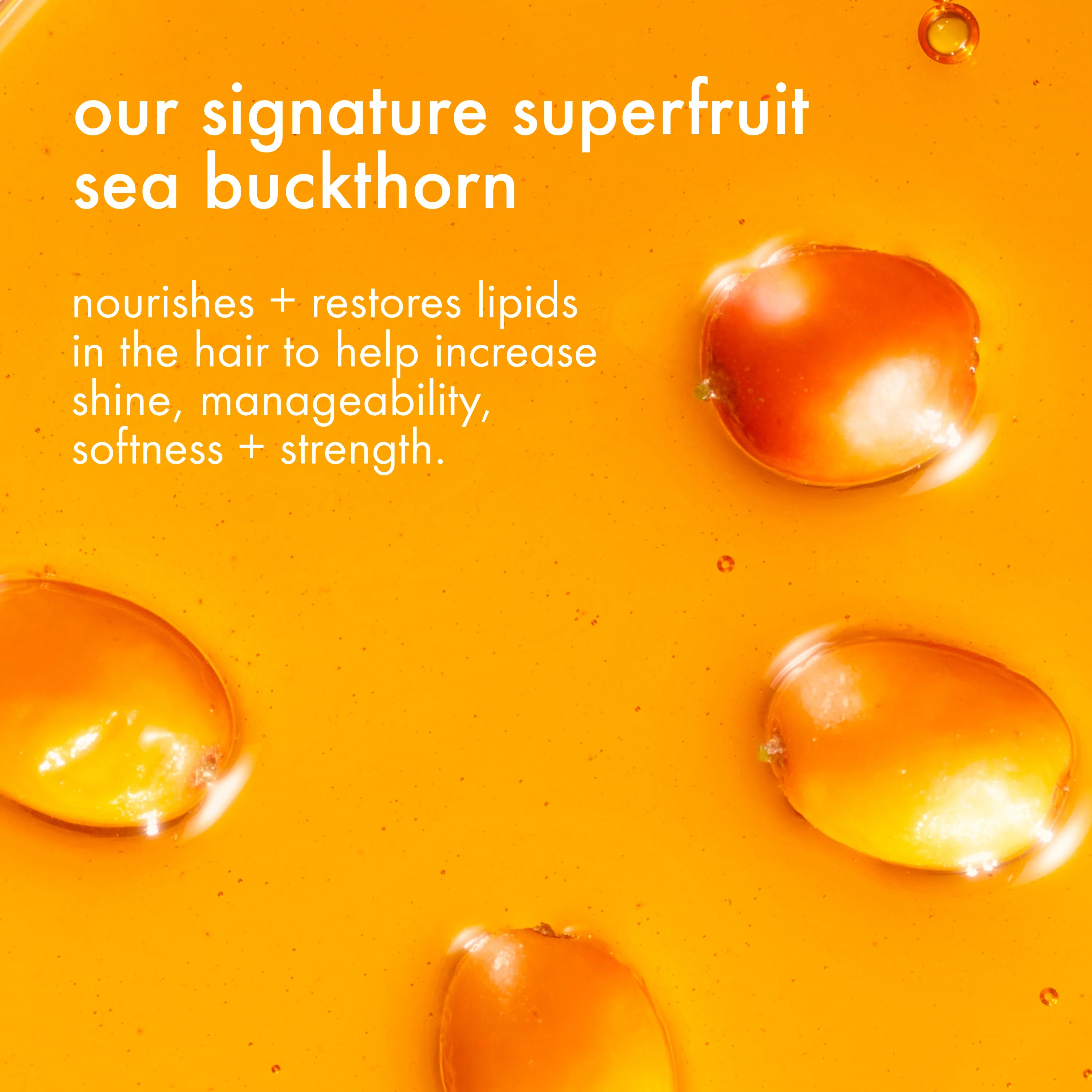 midnight mender  overnight strength repair treatment mask | amika US