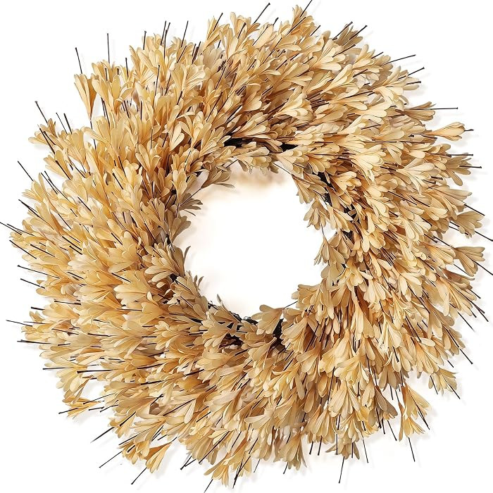 24" Artificial Forsythia Flower Fall Wreath for Front Door Decor (Beige) | Amazon (US)