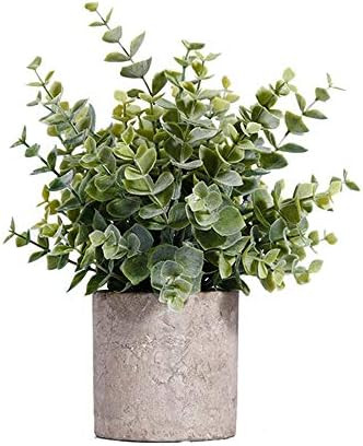 HC STAR Artificial Plant Potted Mini Fake Plant Decorative Lifelike Flower Green Plants | Amazon (US)